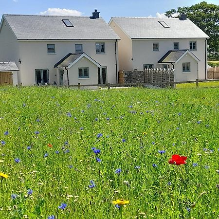 Brecon Beacons Cottage With Stunning Country Views Myddfai Exteriör bild