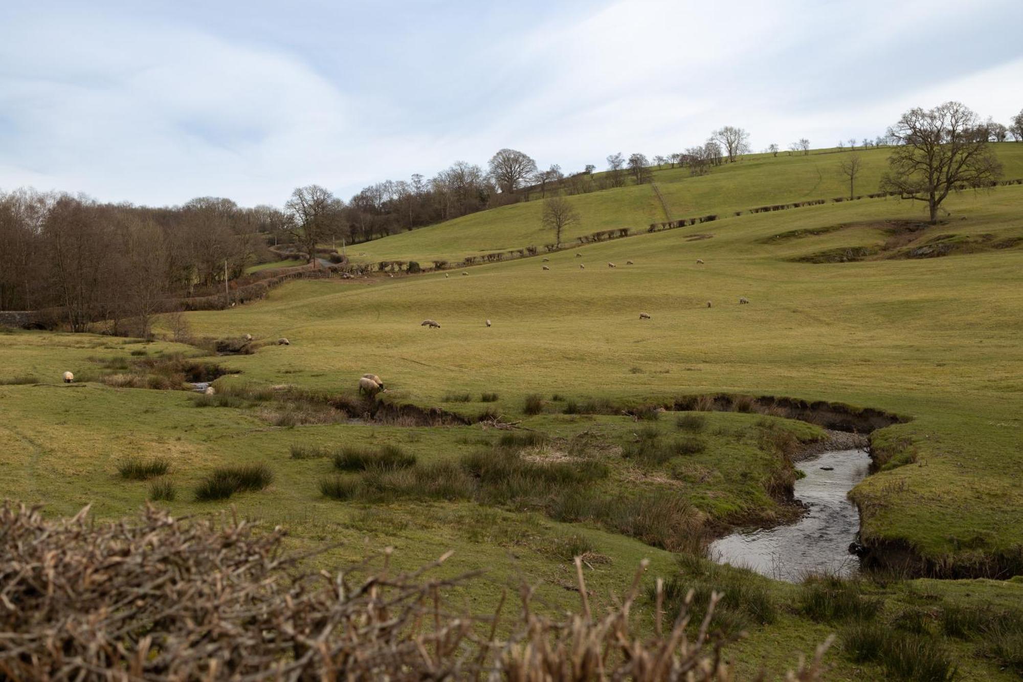 Brecon Beacons Cottage With Stunning Country Views Myddfai Exteriör bild