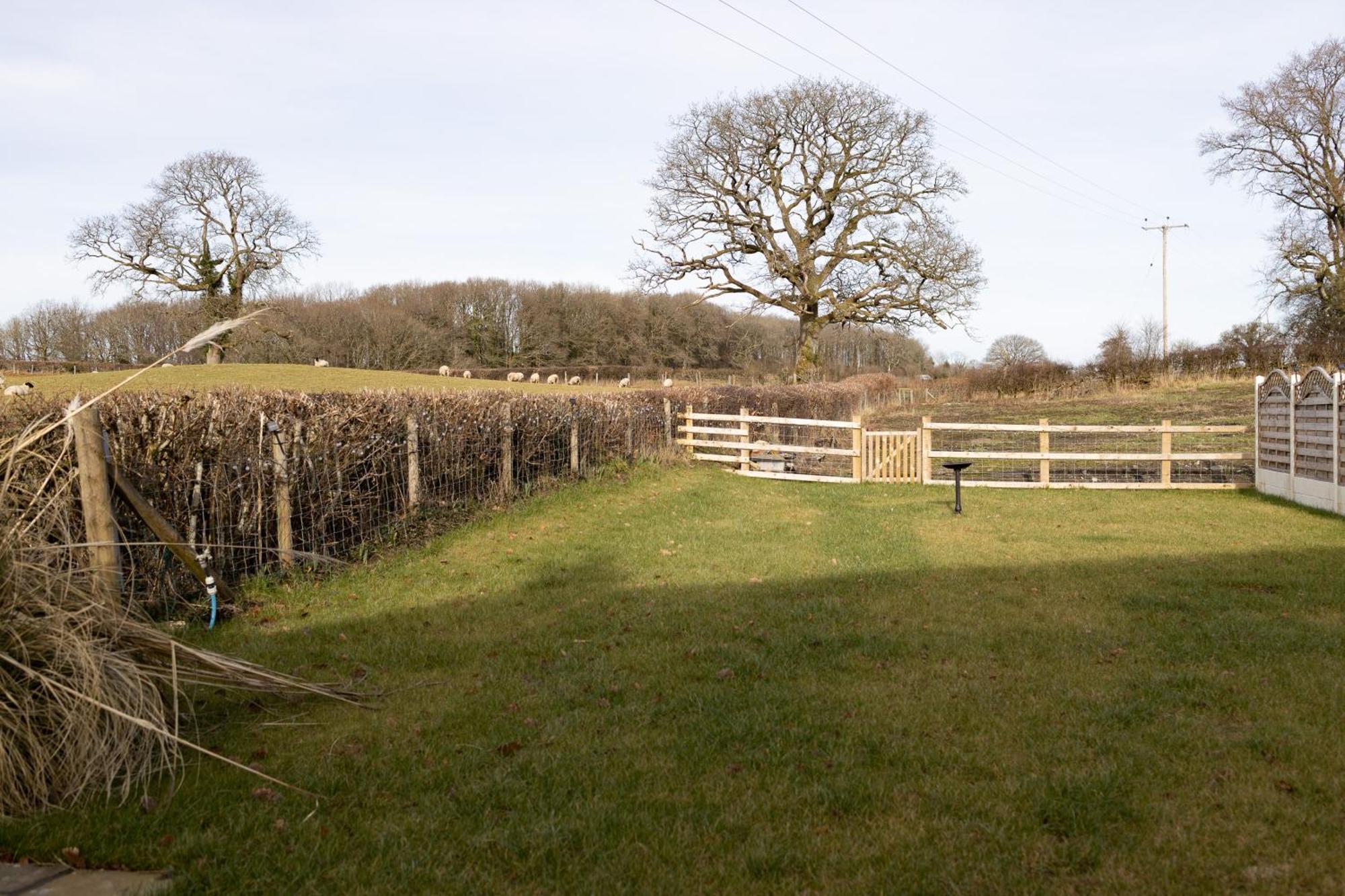 Brecon Beacons Cottage With Stunning Country Views Myddfai Exteriör bild