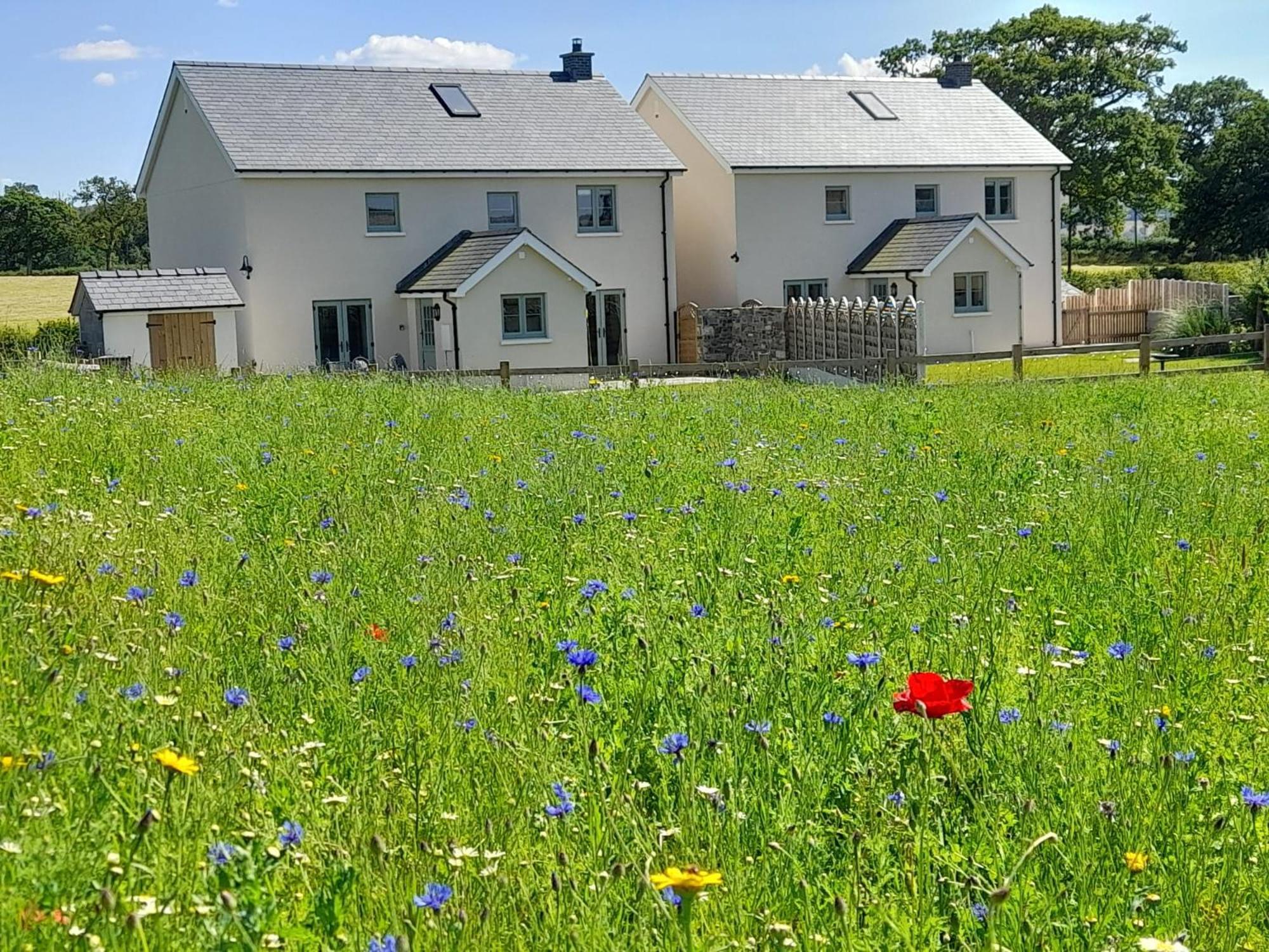 Brecon Beacons Cottage With Stunning Country Views Myddfai Exteriör bild